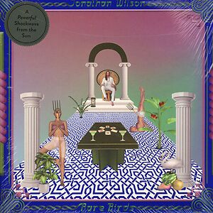 Rare Birds by Jonathan Wilson