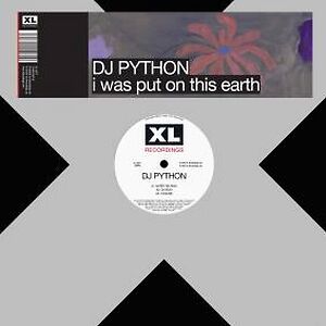 I Was Put On This Earth by DJ Python