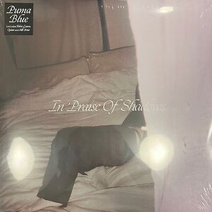 In Praise Of Shadows by Puma Blue