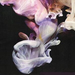 Murmurations by Simian Mobile Disco