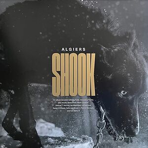 Shook by Algiers