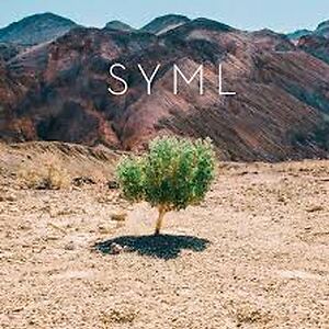 In My Body by SYML