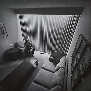Lovage by Timber Timbre