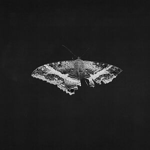 To Pimp A Butterfly - 10th Anniversary Edition by Kendrick Lamar