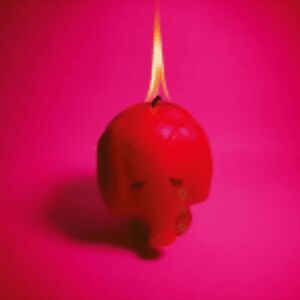 Pink Elephant - Black Vinyl by Arcade Fire