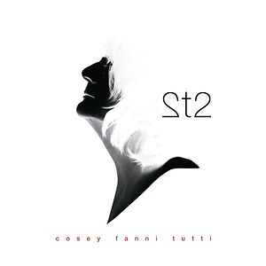2T2 by Cosey Fanni Tutti