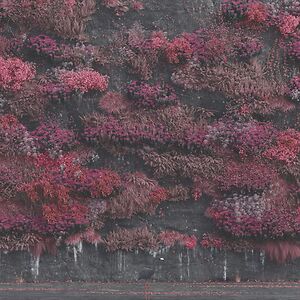 Even In Arcadia by Sleep Token