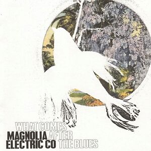 What Comes After The Blues by Magnolia Electric Co.