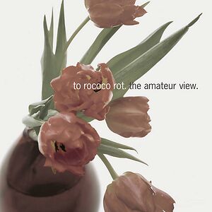 The Amateur View by To Rococo Rot