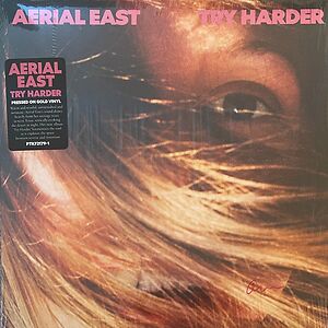 Try Harder by Aerial East