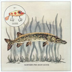 Lay It On Me by Nick Lowe