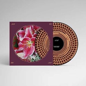 Coles Corner - Zoetrope Picture Disc by Richard Hawley