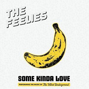 Some Kinda Love (Performing The Music Of The Velvet Underground) by The Feelies