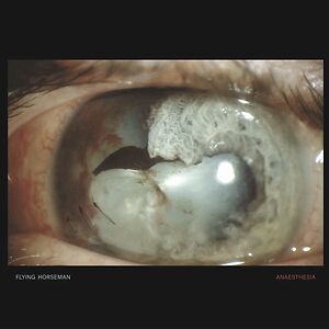Anaesthesia -Limited Silver Vinyl by Flying Horseman