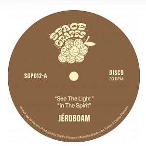 See The Light by J?roboam