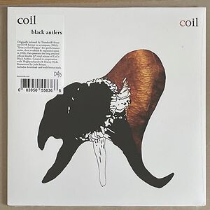 Black Antlers by Coil