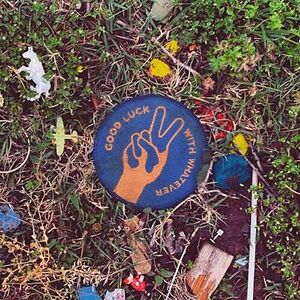 Good Luck With Whatever by Dawes