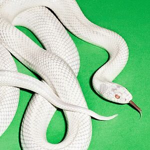Private Music - Clear Vinyl by Deftones