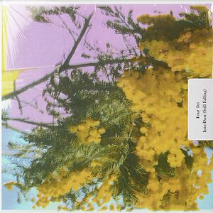 Into Dust (Still Falling) by Four Tet