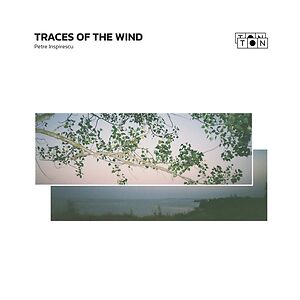 Traces Of The Wind by Petre Inspirescu