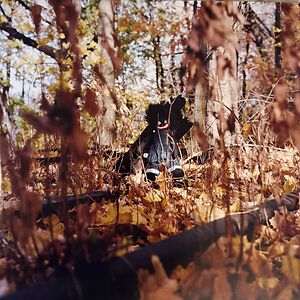 Golliwog by Billy Woods