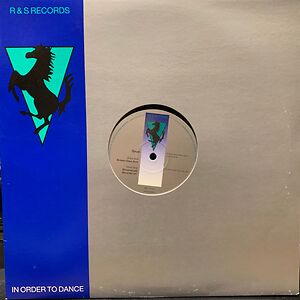 Broken Glass Arch - 2025 repress by Djrum