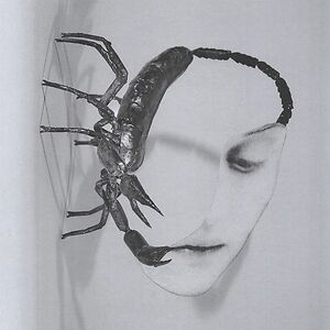 Touch by Tortoise
