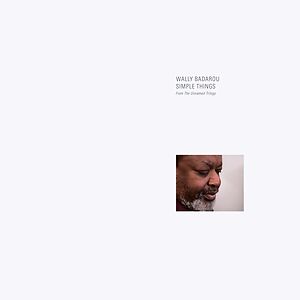Simple Things by Wally Badarou