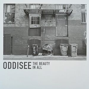 The Beauty In All by Oddisee