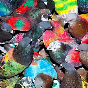 SickElixir by Blawan