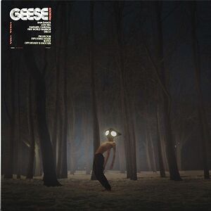 Projector by Geese