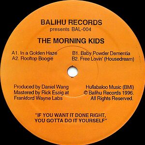 The Morning Kids - In A Golden Haze by Daniel Wang