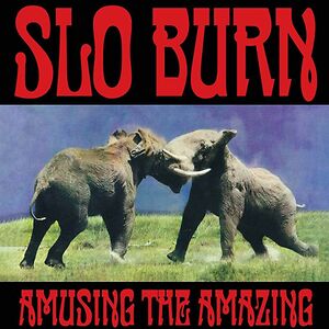 Amusing The Amazing by Slo Burn