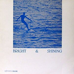 Bright & Shining by Barbara Moore