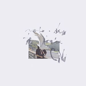 notes from the air by Ciro Vitiello