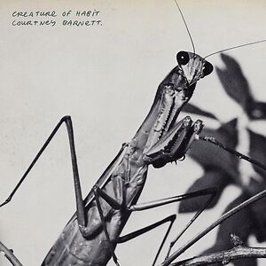 Creature of Habit - Caramel Vinyl by Courtney Barnett