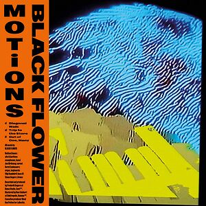 Motions by Black Flower