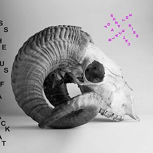 Hewers '26 by Kiss The Anus Of A Black Cat