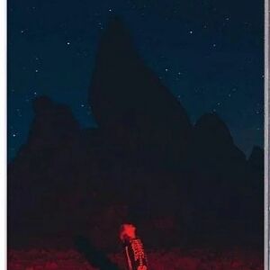 Punisher by Phoebe Bridgers