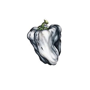 White Pepper by Ween