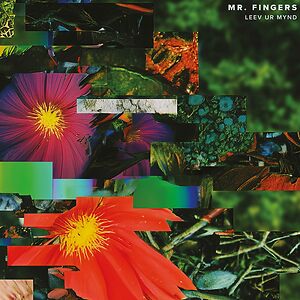Leev Ur Mynd by Mr. Fingers