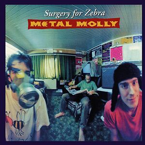 Surgery For Zebra by Metal Molly
