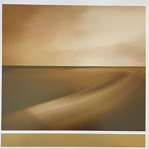 Small Craft On A Milk Sea by Brian Eno