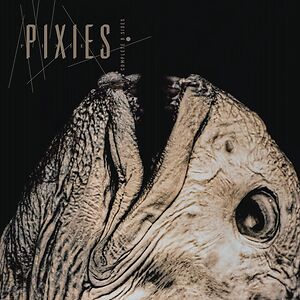 Complete 'B' Sides - Crystal Clear Vinyl by Pixies