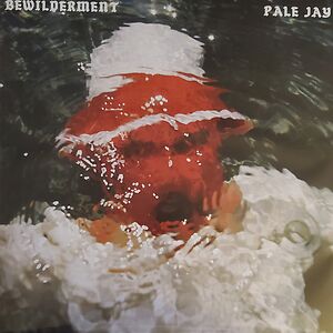 Bewilderment by Pale Jay