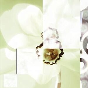 Everything You Giveaway by Pablos Eye