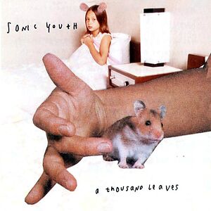 A Thousand Leaves by Sonic Youth