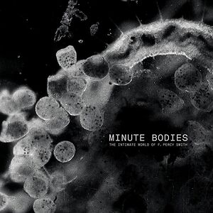 Minute Bodies - The Intimate World Of F. Percy Smith by Tindersticks