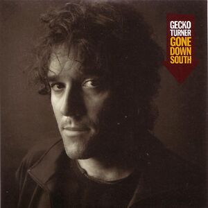 Gone Down South by Gecko Turner