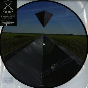 Synrise by Goose
